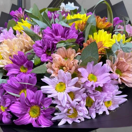 Ramo de flores margaritas